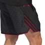 adidas Anted Cl Short - black/aurbla