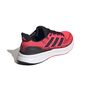 adidas Ultrarun 5 - lucred/cblack/ftwwht