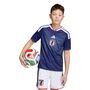 adidas Jfa H Jsy Y Kinder - japblu/ashblu