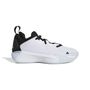 adidas Adidas Initiation J - ftwwht/cblack/ftwwht