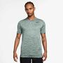 Nike Nike Dri-Fit MenS Fitness T-Shirt - steam/pure/black