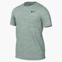 Nike Nike Dri-Fit MenS Fitness T-Shirt - steam/pure/black