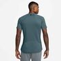 Nike Nike Pro Training MenS Dri-Fit Sho - mineral slate/green strike