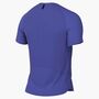 Nike Nike Pro Training MenS Dri-Fit Sho - persian violet/black