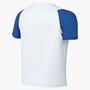 Nike Nike Dri-Fit Academy Ii Big Kids S - white/royal blue/black
