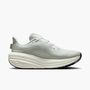 Nike Nike Air Winflo 12 WomenS Road Run - off white/metallic silver-barely gr