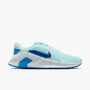 Nike Nike Flex Train MenS Workout Shoes - glacier blue/deep royal blue-photo