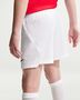 Nike Norway 2025/26 Stadium Home Little - chile red/chile red/blue void