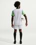 Nike Nff M Nk Df Short Stad Aw - white/black