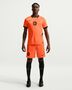 Nike Knvb M Nk Df Short Stad Aw - hyper crimson/black