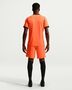 Nike Knvb M Nk Df Short Stad Aw - hyper crimson/black