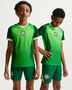 Nike Nff Y Kinder Nk Df Jsy Ss Stad Hm - pine green/electric green/white