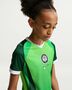 Nike Nff Y Kinder Nk Df Jsy Ss Stad Hm - pine green/electric green/white