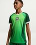 Nike Nff Y Kinder Nk Df Jsy Ss Stad Hm - pine green/electric green/white