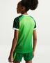 Nike Nff Y Kinder Nk Df Jsy Ss Stad Hm - pine green/electric green/white