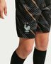 Nike Fff 2026/27 Stadium Goalkeeper Big - black/medium ash/monarch/igloo