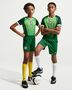 Nike Nigeria 2025/26 Stadium Home Big Ki - pine green/electric green/white