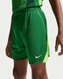 Nike Nigeria 2025/26 Stadium Home Big Ki - pine green/electric green/white