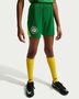 Nike Nigeria 2025/26 Stadium Home Big Ki - pine green/electric green/white