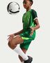 Nike Nigeria 2025/26 Stadium Home Big Ki - pine green/electric green/white