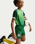 Nike Nigeria 2025/26 Stadium Home Big Ki - pine green/electric green/white