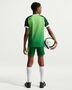 Nike Nigeria 2025/26 Stadium Home Big Ki - pine green/electric green/white