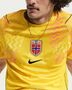 Nike Nor M Nk Df Jsy Ss Stad Gk - lightening/black/black