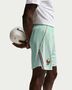 Nike Fff M Nk Df Short Stad Aw - igloo/monarch/monarch