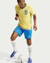 Nike Brazil 2025/26 Stadium Home MenS N - lt photo blue/light menta/white