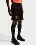 Nike Netherlands 2025/26 Stadium Home Me - black/hyper crimson