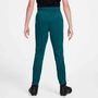 Nike Cbf Y Kinder Nk Df Acdpr Pant Kpz - geode teal/light menta/midwest gold