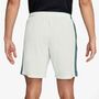 Nike M Nk Df Acd+ Short Gx Hbr (Consumer - summit white/mineral slate/mineral