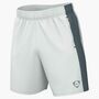 Nike M Nk Df Acd+ Short Gx Hbr (Consumer - summit white/mineral slate/mineral