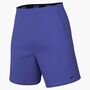 Nike M Nk Df Totality 9In Short (Consume - persian violet/black