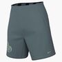Nike Nike Flex MenS 7 Dri-Fit Training - mineral slate/steam