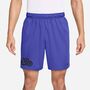 Nike Nike Flex MenS 7 Dri-Fit Training - persian violet/black