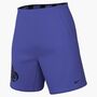 Nike Nike Flex MenS 7 Dri-Fit Training - persian violet/black