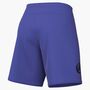 Nike Nike Flex MenS 7 Dri-Fit Training - persian violet/black