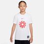 Nike Erling Haaland Academy Big Kids Dr - white/white/hot punch/hot punch