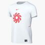 Nike Erling Haaland Academy Big Kids Dr - white/white/hot punch/hot punch