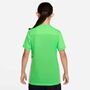 Nike Erling Haaland Academy Big Kids Dr - green strike/phantom/obsidian/phant