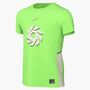 Nike Erling Haaland Academy Big Kids Dr - green strike/phantom/obsidian/phant