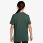 Nike Nike Big Kids Dri-Fit T-Shirt - fir