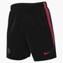 Nike Psg M Nk Df Strk Short Kz - black/global red/global red