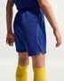 Nike Cfc Y Kinder Nk Df Short Stad Hm - bright blue/midwest gold/midwest go