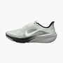 Nike Air Zoom Pegasus 42 Rr - summit white/white-metallic silver