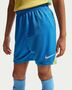 Nike Brazil 2025/26 Stadium Home Big Kid - lt photo blue/light menta/white
