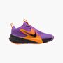 Nike Nike Team Hustle D 12 Se Big Kids - bright violet/black-total orange