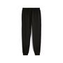 Puma ESS 2 COLOR No. 1 Logo Sweatpants FL cl - PUMA Black