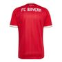 adidas Fcb H Jsy F - betsca/white